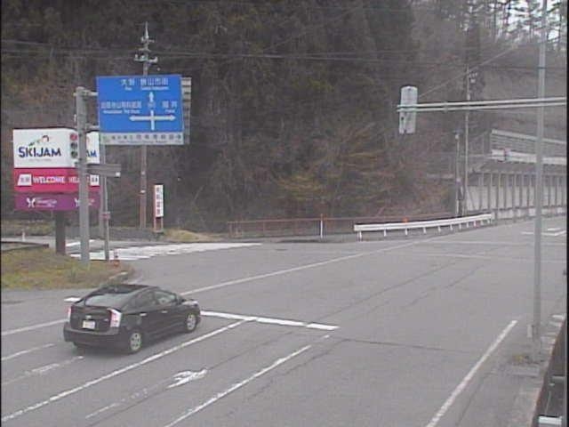 2974.jpg