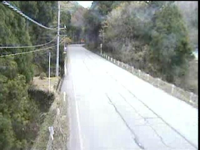 2979.jpg