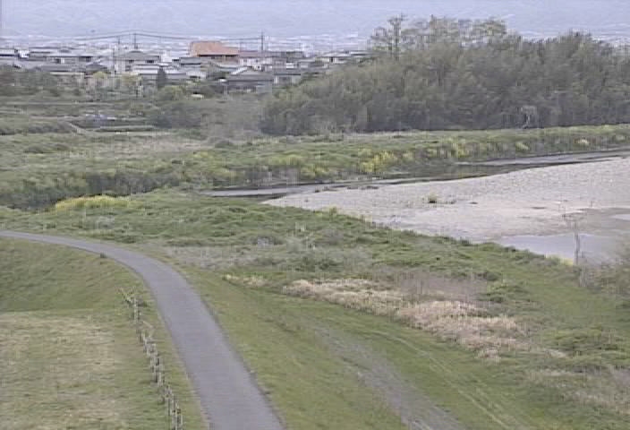 3167.jpg
