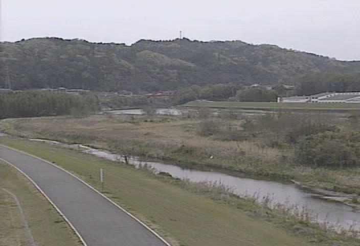 3174.jpg