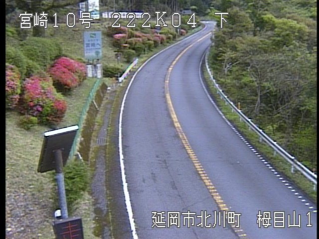 3943.jpg