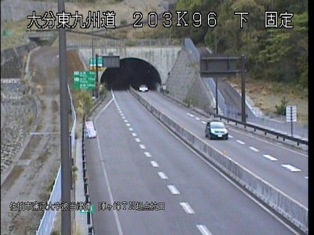 4019.jpg