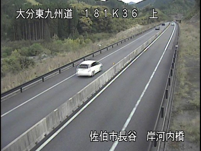 4029.jpg