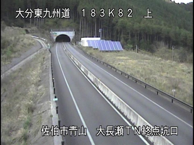 4031.jpg