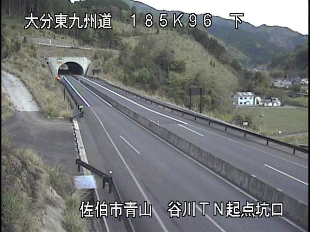 4033.jpg