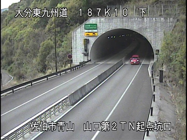 4035.jpg