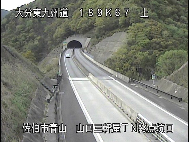 4037.jpg