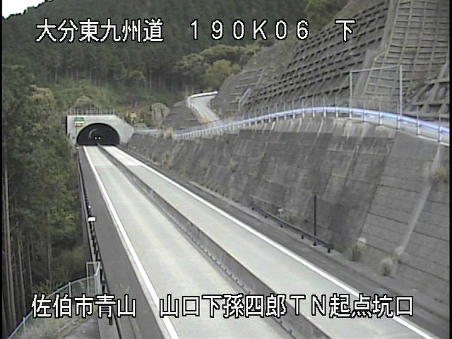 4038.jpg