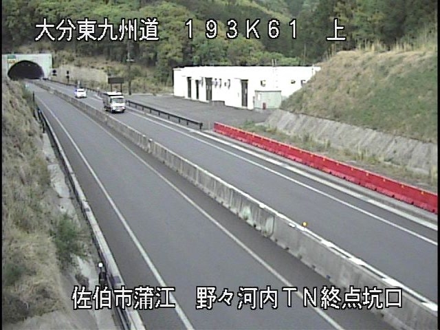 4039.jpg
