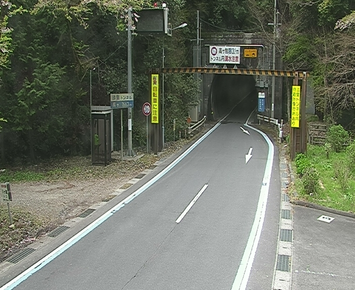 3855.jpg