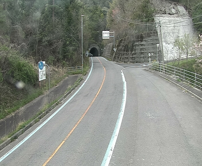 3869.jpg