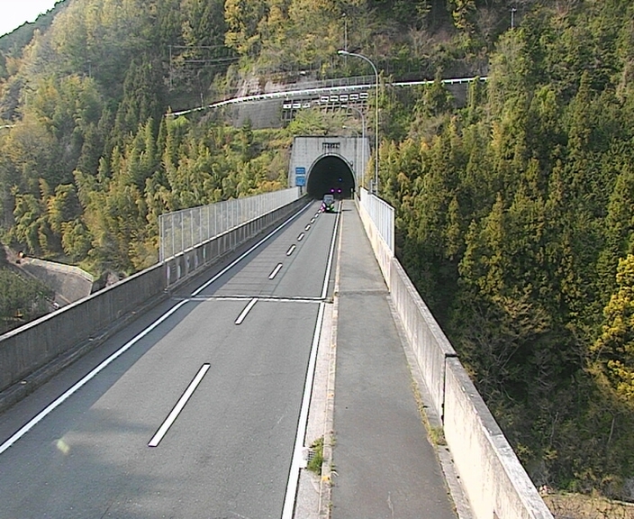 3878.jpg