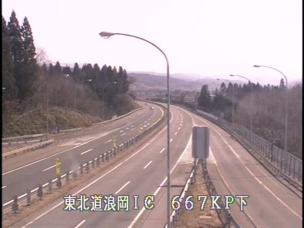1161.jpg